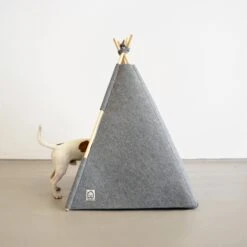 Chats Chiens Fournitures Magasin -Chats Chiens Fournitures Magasin 060125a8013c7ebe055b27c101f36781