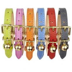 Collier Pour Chat En Cuir Gris -Chats Chiens Fournitures Magasin 11356512 1135743869769883 17130006 n 825b23a1 8df0 4eda a2a2 8c8b2f52e066