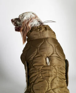 Doudoune Très Chaude Pour Chien -Chats Chiens Fournitures Magasin 1207150261911 04 1080x1320 494822d2 a148 4476 9b9f 83493ca2541f