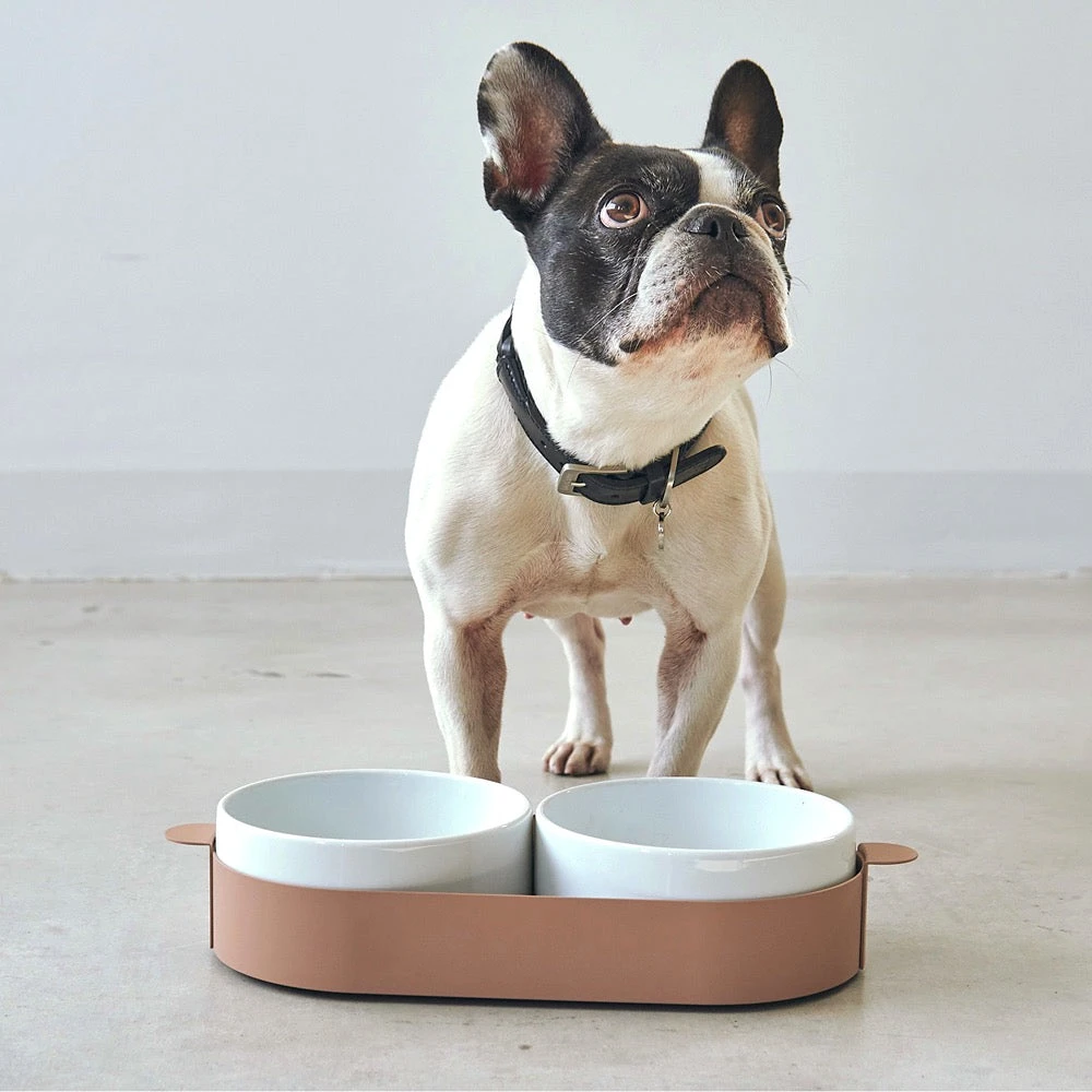 Bols Doubles Pour Chat Tavoletta 5 Bols Doubles Pour Chat Tavoletta – Image 5