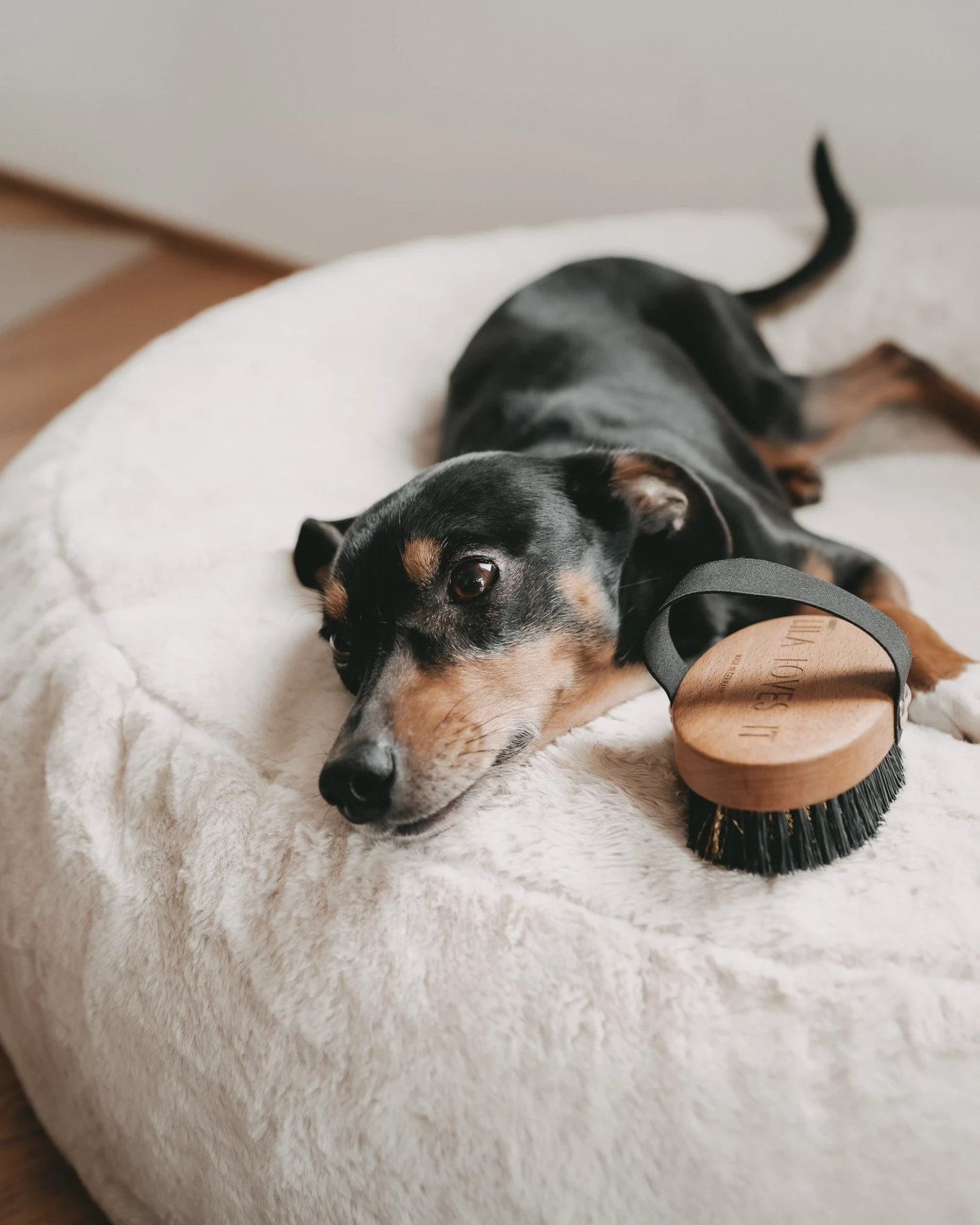 Brosse Pour Poils Courts Lila Loves It 7 Brosse Pour Poils Courts Lila Loves It – Image 7