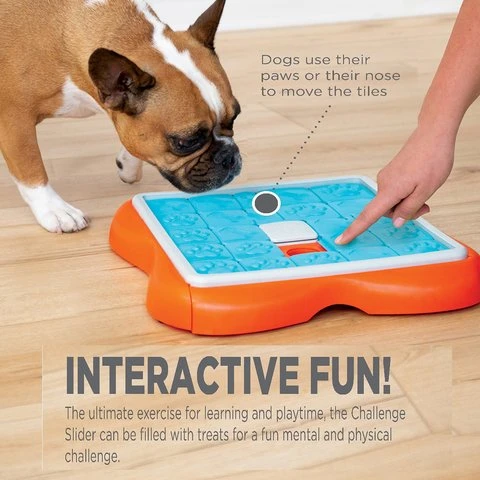 Nina Ottosson Puzzle Interactif Pour Chien Challenge Slider Niv.3 2 Nina Ottosson Puzzle Interactif Pour Chien Challenge Slider Niv.3 – Image 2