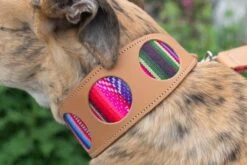 Collier Pour Chien Cuir Et Tissu Inca Pink -Chats Chiens Fournitures Magasin 190517 Hiro Wolf Dumpton Gap May 19 08133 445x297 e0a59ce2 916f 4bf4 9cb8 7a77f000d292