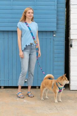 Laisse Inca Blue -Chats Chiens Fournitures Magasin 190517 Hiro Wolf Dumpton Gap May 19 0110 1024x1024 895ca5a0 365e 4936 a3ad 0b47b8f93e98