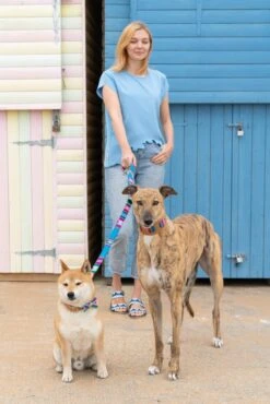 Laisse Inca Blue -Chats Chiens Fournitures Magasin 190517 Hiro Wolf Dumpton Gap May 19 0158 1024x1024 909aa1fe 06d8 47bb b138 d008adbd890f