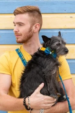 Noeud Papillon Pour Chien Shuka Blue -Chats Chiens Fournitures Magasin 190517 Hiro Wolf Dumpton Gap May 19 0467 622x932 cf9d41d6 fee3 49b4 9bd2 1990451ae7ae