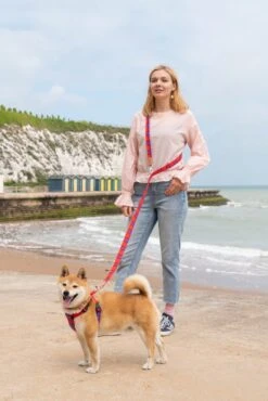 Laisse Shuka Red Tartan -Chats Chiens Fournitures Magasin 190517 Hiro Wolf Dumpton Gap May 19 1218 1024x1024 73028475 ce69 4ec8 8e61 75e5d671fb3e