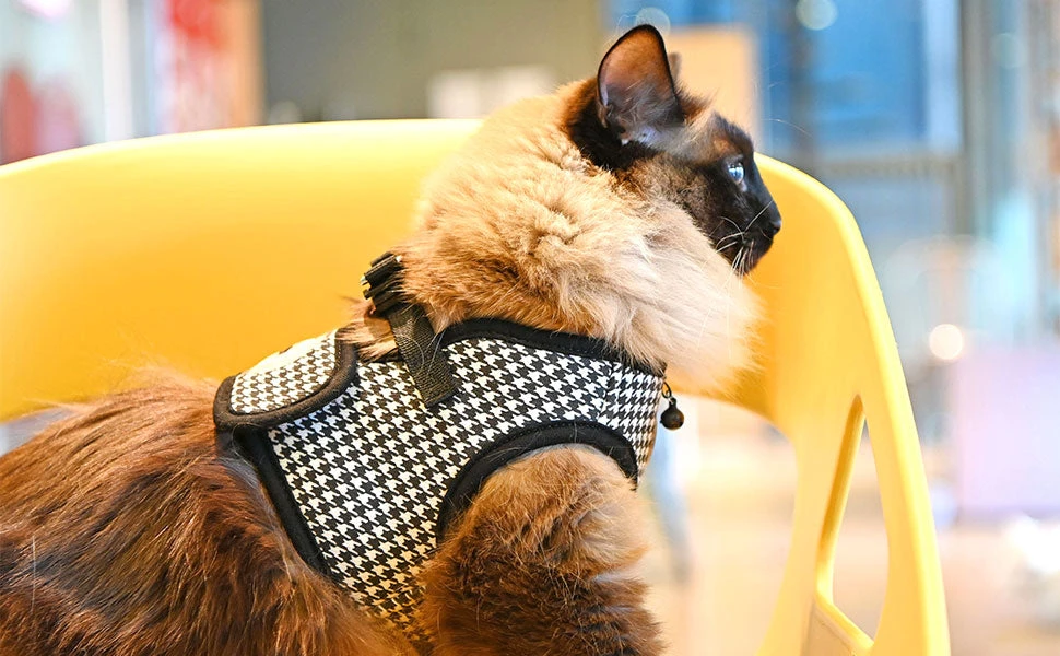 Harnais GARBO B Pour Chat 6 Harnais GARBO B Pour Chat – Image 6