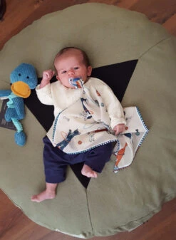 Le Carré Pour Cat Et Doglover -Chats Chiens Fournitures Magasin 20160616 181347