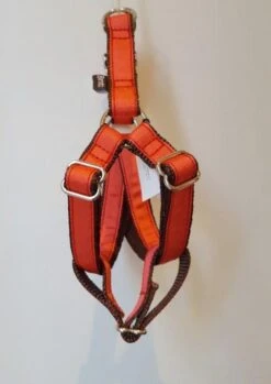 Harnais Parachute Uni Rouge Strawberry -Chats Chiens Fournitures Magasin 20180223 120446 Copie