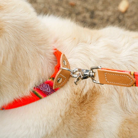 Collier Pour Chien Cuir Et Tissu Inca Orange 2 Collier Pour Chien Cuir Et Tissu Inca Orange – Image 2