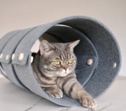 Tunnel Pour Chat FuzzPlay -Chats Chiens Fournitures Magasin 22CE8696 3B1A 47CC B879 EFE0C584EAFC 280 000000505EC5D727Kopie 900x 7e40a57c 7090 479a ab5d 50e6cb170921