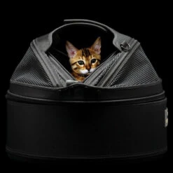Panier De Transport Pour Chien Et Chat - SLEEPYPOD -Chats Chiens Fournitures Magasin 3690 Panier de transport pour chien et chat SLEEPYPOD