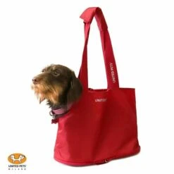 Sac De Poche Pour Petit Chien Lazy Dog 19 Sac De Poche Pour Petit Chien Lazy Dog -Chats Chiens Fournitures Magasin 54512067 426969104745324 8405107956070420620 n
