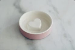 Bol Anti-glouton Pour Chat Et Petit Chien -Chats Chiens Fournitures Magasin 90210.1