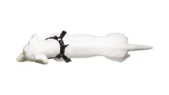 Harnais De Running Pour Chien -Chats Chiens Fournitures Magasin 9 720x 2087cd03 3f6e 45b5 afb2 f2ecd4872910