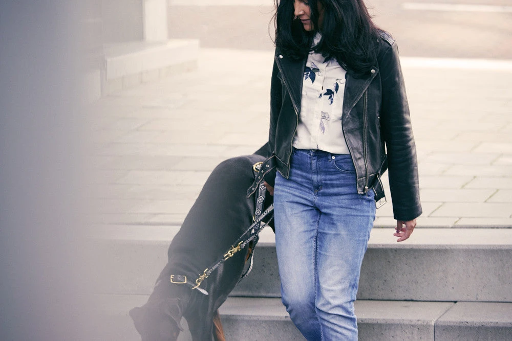 Laisse Out Of My Box (2 Couleurs) 5 Laisse Out Of My Box (2 Couleurs) – Image 5