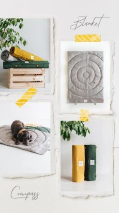 Matelas De Voyage Pour Chien Enroulable Compass Band & Roll -Chats Chiens Fournitures Magasin Blanket Compass 720x da4f3e9e f6b1 47d1 8428 b3ce94ab3a54