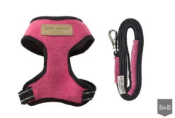 Harnais Candy Avec Laisse -Chats Chiens Fournitures Magasin BowlAndBone Republic harness for dog CANDY set pink PS1S
