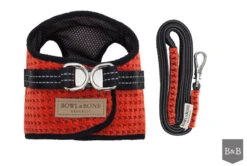 Harnais Soho Avec Laisse