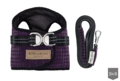 Harnais Soho Avec Laisse -Chats Chiens Fournitures Magasin BowlAndBone Republic harness for dog SOHO set purple PS1S
