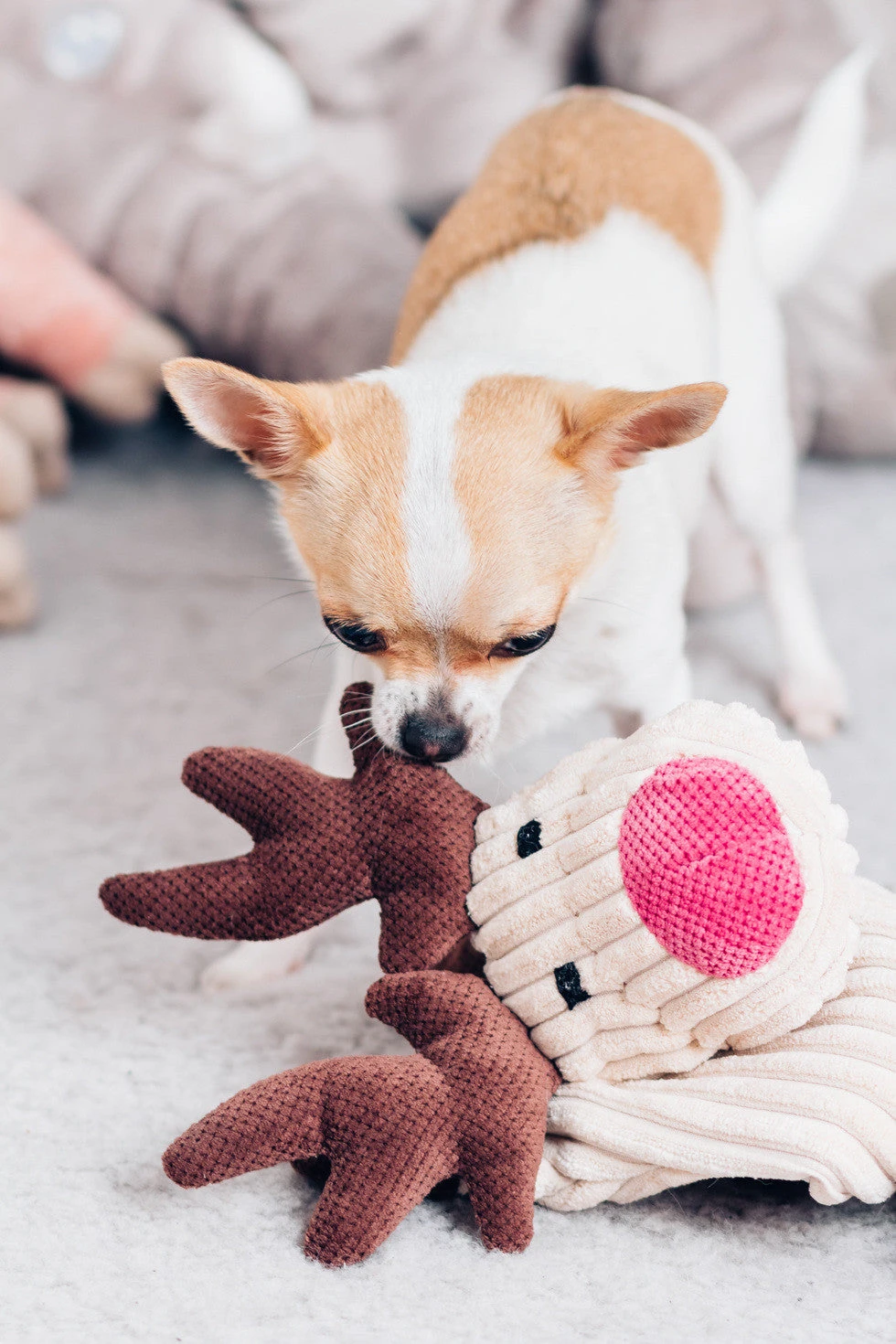 Jouet Pour Chien Stimulant Toffie 2 Jouet Pour Chien Stimulant Toffie – Image 2