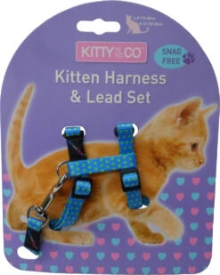 Harnais Et Laisse à Pois Pour Chaton -Chats Chiens Fournitures Magasin CH4202 Spotty Blue Kitten Harness LR