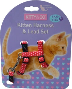Harnais Et Laisse à Pois Pour Chaton -Chats Chiens Fournitures Magasin CH4202 Spotty Red Kitten Harness LR 1