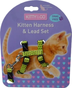 Harnais Et Laisse à Pois Pour Chaton -Chats Chiens Fournitures Magasin CH4202 Spotty Yellow Kitten Harness LR