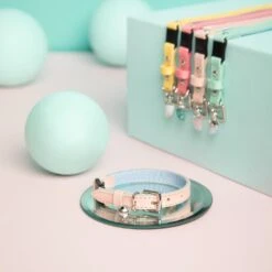 Collier Pour Chat Ice Cream (4 Couleurs) -Chats Chiens Fournitures Magasin Candyfloss Pink Cheshire and Wain Collar Rachel Oates