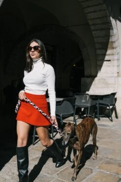 Collier Pour Chien Riells -Chats Chiens Fournitures Magasin DSC5857 copie