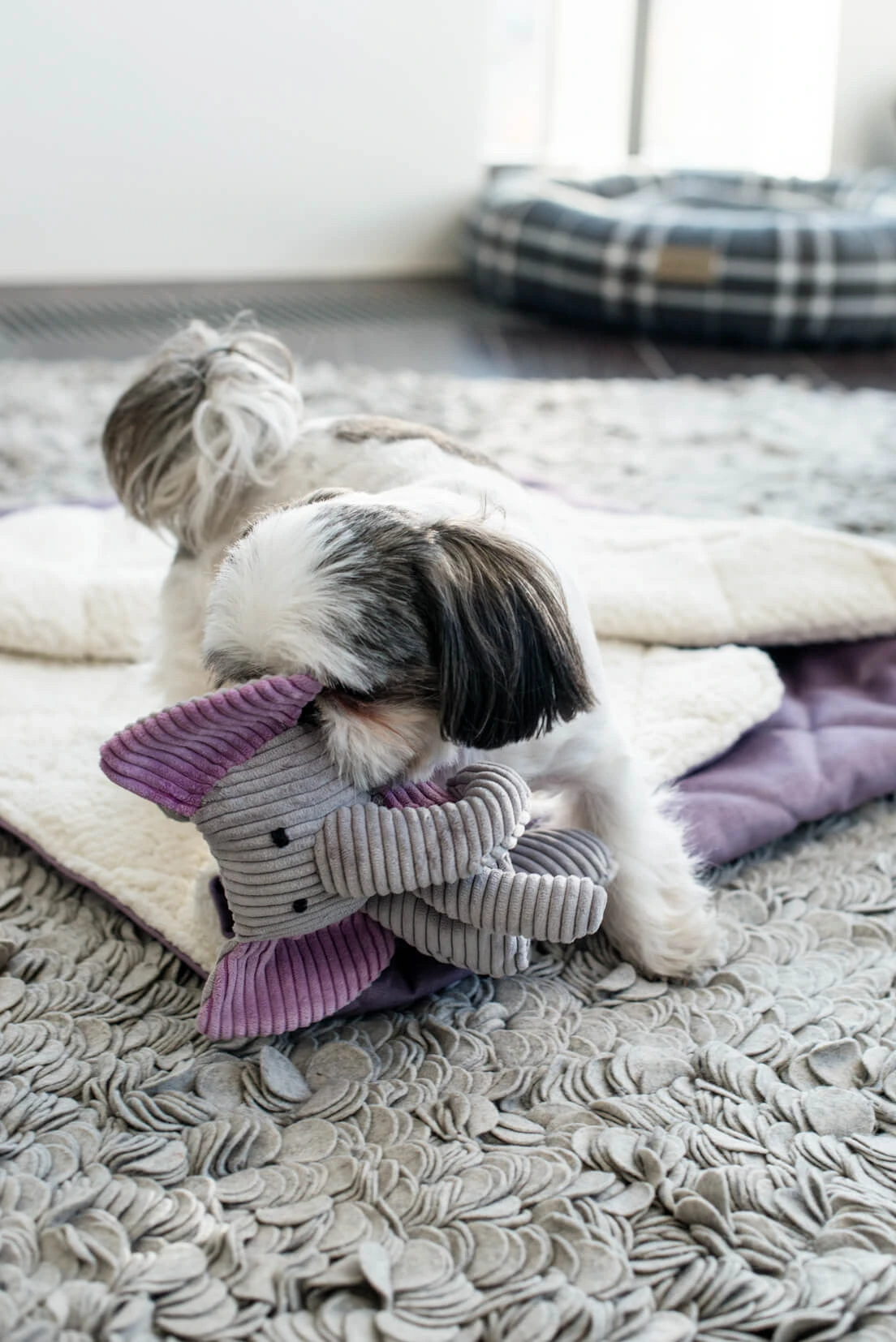 Jouet Pour Chien Stimulant Dumbo 2 Jouet Pour Chien Stimulant Dumbo – Image 2