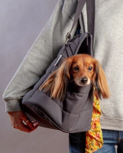 Sac De Transport Pour Chien (max 15kg) 17 Sac De Transport Pour Chien (max 15kg) -Chats Chiens Fournitures Magasin Dog Co 1C5A2503 1024x1024 ec76c171 e2f0 4f46 aef7 454befbacd88