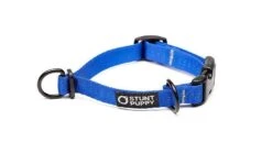 Collier Pour Chien Souple Everyday (3 Couleurs) -Chats Chiens Fournitures Magasin EverydayCollar Blue XS 900x 5d1fc4cd 2695 419c 81e3 42adef634964