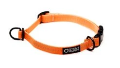 Collier Pour Chien Souple Everyday (3 Couleurs) -Chats Chiens Fournitures Magasin EverydayCollar Orange S 1 1024x1024 4c62ccc6 55f9 41d9 ac4d eb1bb2ae318b