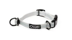 Collier Pour Chien Souple Everyday (3 Couleurs) -Chats Chiens Fournitures Magasin EverydayCollar Silver XS 720x f3ef4b43 6dd4 4de0 b148 98f18edc719e