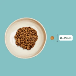 Croquettes Chat Stérilisé Sans Céréales Au Saumon -Chats Chiens Fournitures Magasin Fichesproduits 31