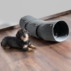 Tunnel Pour Chat FuzzPlay -Chats Chiens Fournitures Magasin FreddyDez.2021 3628 Bearbeitet 900x bda209d9 2387 49f5 86d0 77434b825845