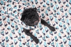 Manteau Pour Petit Chien -Chats Chiens Fournitures Magasin GetAttachmentThumbnail 4c8bbd59 5e7d 4959 98df 390fb2eb6006