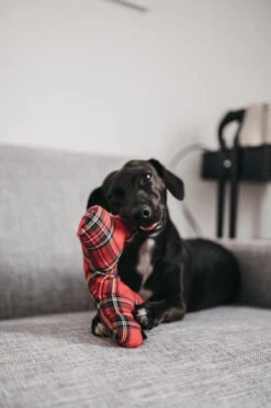 Jouet Os Pour Chien écossais -Chats Chiens Fournitures Magasin GetAttachmentThumbnail aa89cf61 2b07 41da 93a6 effc8a371088