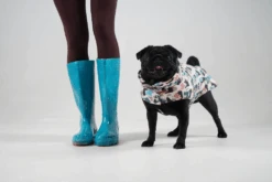 Manteau Pour Petit Chien -Chats Chiens Fournitures Magasin GetAttachmentThumbnail d554b13a bc53 4bb6 8dcf 4eaef44db8c7