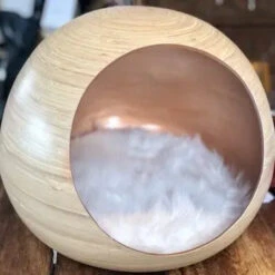 Dandy Ball -Chats Chiens Fournitures Magasin Golden22Mo jpg