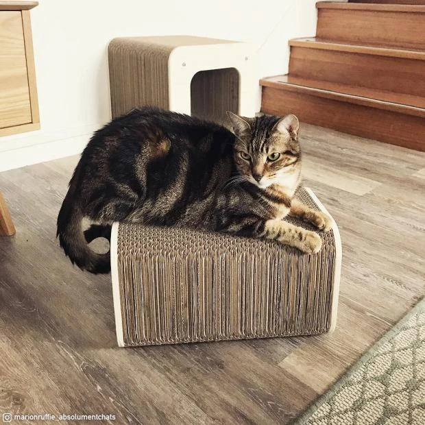 Griffoir Pour Chat Tour XL Homycat 2 Griffoir Pour Chat Tour XL Homycat – Image 2