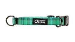 Collier Pour Chien Buffalo (2 Couleurs) -Chats Chiens Fournitures Magasin IMG 6389 1024x1024 720x 3367ed4d 16c6 4ee5 b8e9 fbf6f9535586