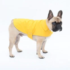 Imperméable Pour Petit Chien Microfibres -Chats Chiens Fournitures Magasin Jolie Dog Cooper yellow3 grande be1cbc9c 1e91 4ea0 afbc 7f1011547c11