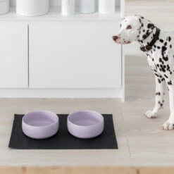 Bol Pour Chien Design Nordique Ole Hyvä -Chats Chiens Fournitures Magasin Kind for Dogs Ole hyv dog bowl lavender