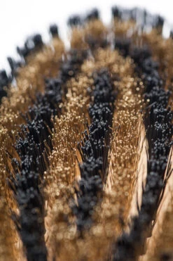 Brosse Pour Poils Courts Lila Loves It 9 Brosse Pour Poils Courts Lila Loves It -Chats Chiens Fournitures Magasin Lila loves it 66