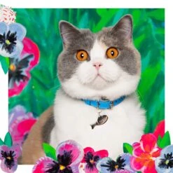 Collier Pour Chat En Cuir Louis Wain -Chats Chiens Fournitures Magasin LouisWain CheshireAndWain RachelOates 10 4 1800x1800 d26c10b4 cce6 44d7 bfe7 84f194f80005