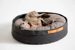 Coussin Pour Chat Et Chien Irvin (3 Couleurs) -Chats Chiens Fournitures Magasin MG 0835