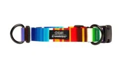 Collier Pour Chien Buffalo (2 Couleurs)